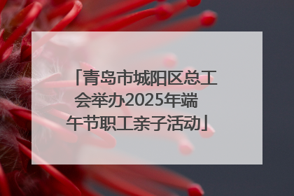 青岛市城阳区总工会举办2025年端午节职工亲子活动