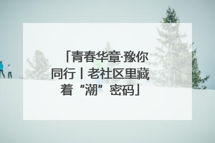青春华章·豫你同行丨老社区里藏着“潮”密码