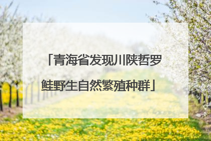青海省发现川陕哲罗鲑野生自然繁殖种群