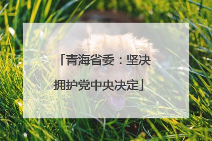 青海省委：坚决拥护党中央决定