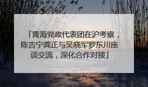 青海党政代表团在沪考察，陈吉宁龚正与吴晓军罗东川座谈交流，深化合作对接