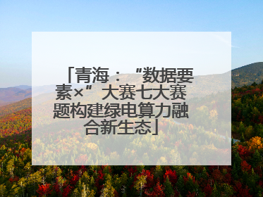 青海：“数据要素×”大赛七大赛题构建绿电算力融合新生态