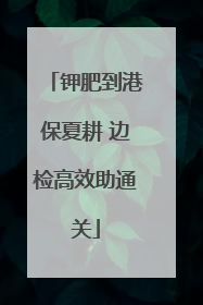 钾肥到港保夏耕 边检高效助通关