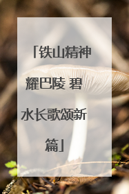 铁山精神耀巴陵 碧水长歌颂新篇
