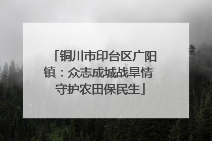 铜川市印台区广阳镇：众志成城战旱情 守护农田保民生