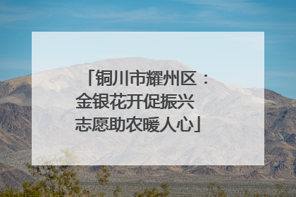 铜川市耀州区：金银花开促振兴 志愿助农暖人心