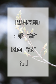 锡林郭勒：乘“新”风向“绿”行