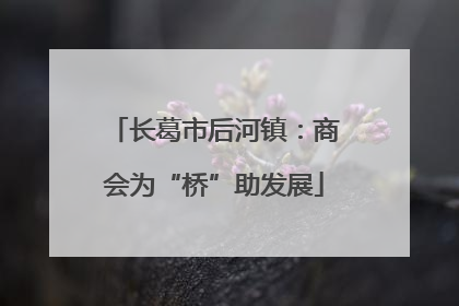 长葛市后河镇：商会为“桥”助发展