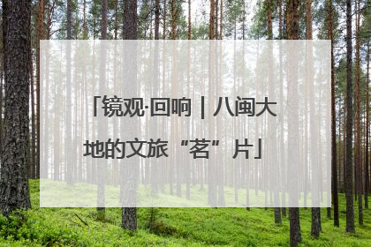 镜观·回响｜八闽大地的文旅“茗”片