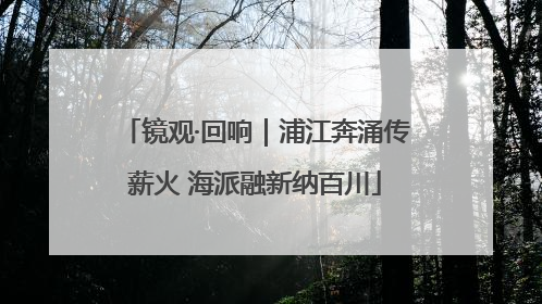 镜观·回响｜浦江奔涌传薪火 海派融新纳百川