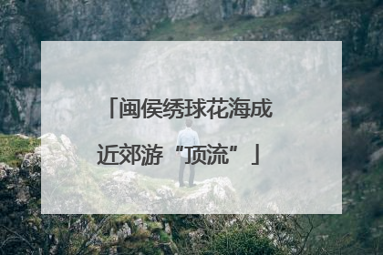 闽侯绣球花海成近郊游“顶流”