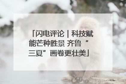 闪电评论｜科技赋能芒种胜景 齐鲁“三夏”画卷更壮美