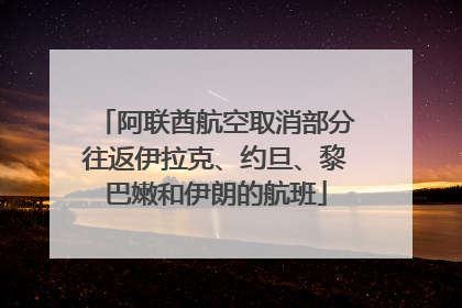 阿联酋航空取消部分往返伊拉克、约旦、黎巴嫩和伊朗的航班