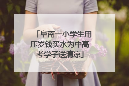 阜南一小学生用压岁钱买水为中高考学子送清凉