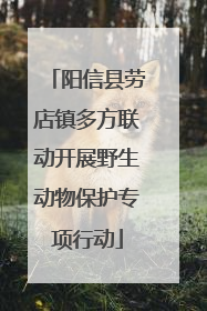 阳信县劳店镇多方联动开展野生动物保护专项行动