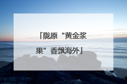陇原“黄金浆果”香飘海外