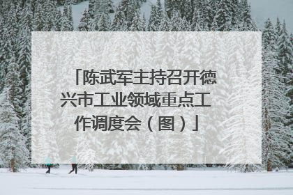 陈武军主持召开德兴市工业领域重点工作调度会（图）
