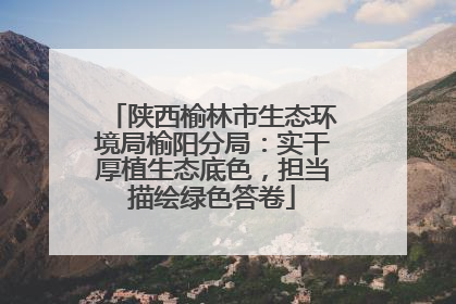 陕西榆林市生态环境局榆阳分局：实干厚植生态底色，担当描绘绿色答卷