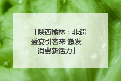 陕西榆林：非遗盛宴引客来 激发消费新活力