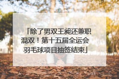 除了男双王昶还兼职混双！第十五届全运会羽毛球项目抽签结束