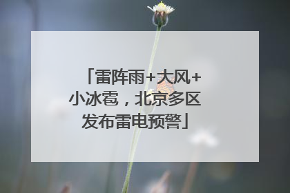 雷阵雨+大风+小冰雹，北京多区发布雷电预警