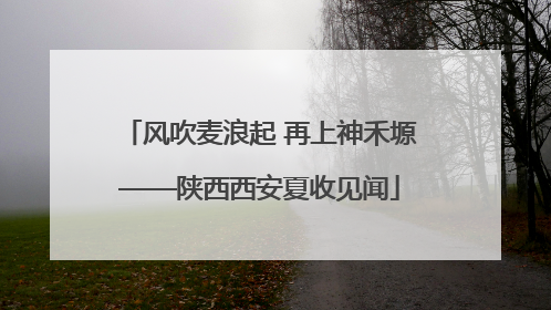 风吹麦浪起 再上神禾塬——陕西西安夏收见闻
