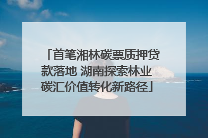 首笔湘林碳票质押贷款落地 湖南探索林业碳汇价值转化新路径