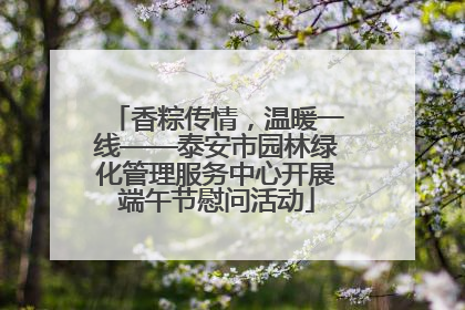 香粽传情，温暖一线——泰安市园林绿化管理服务中心开展端午节慰问活动