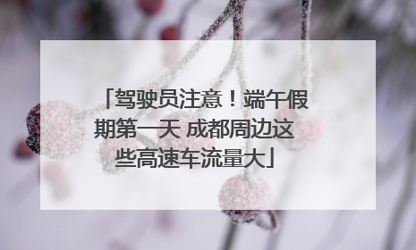 驾驶员注意！端午假期第一天 成都周边这些高速车流量大