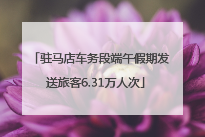 驻马店车务段端午假期发送旅客6.31万人次