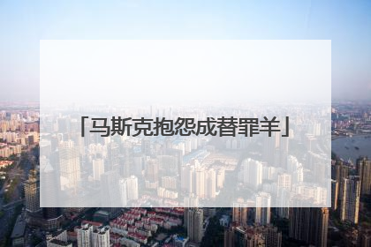 马斯克抱怨成替罪羊