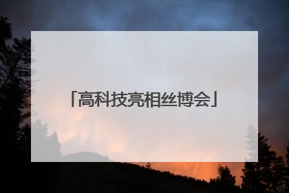 高科技亮相丝博会