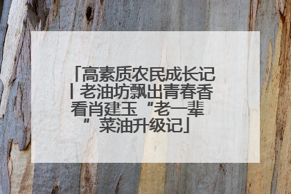 高素质农民成长记丨老油坊飘出青春香 看肖建玉“老一辈”菜油升级记