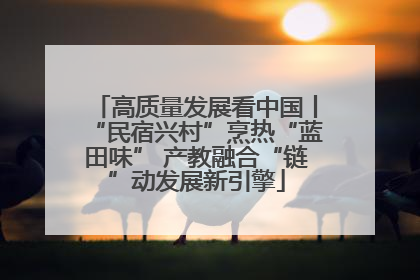 高质量发展看中国丨“民宿兴村”烹热“蓝田味” 产教融合“链”动发展新引擎