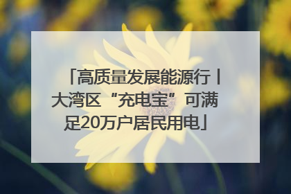 高质量发展能源行丨大湾区“充电宝”可满足20万户居民用电