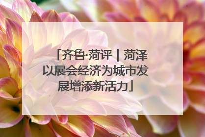 齐鲁·菏评｜菏泽以展会经济为城市发展增添新活力