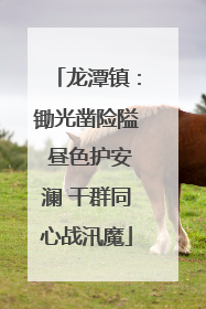 龙潭镇：锄光凿险隘 昼色护安澜 干群同心战汛魔