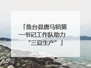 鱼台县唐马镇第一书记工作队助力“三夏生产”