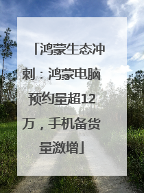 鸿蒙生态冲刺：鸿蒙电脑预约量超12万，手机备货量激增