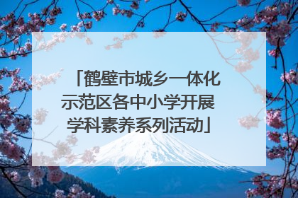鹤壁市城乡一体化示范区各中小学开展学科素养系列活动