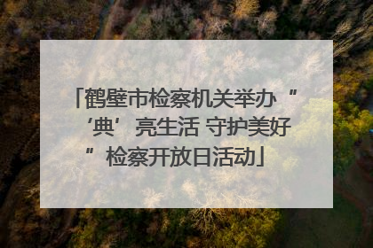 鹤壁市检察机关举办“‘典’亮生活 守护美好”检察开放日活动