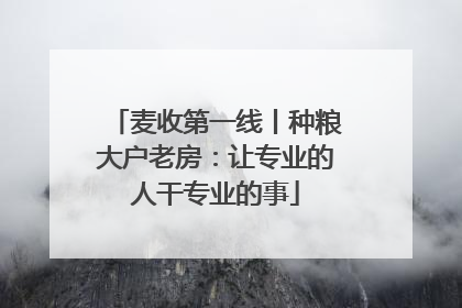 麦收第一线丨种粮大户老房：让专业的人干专业的事
