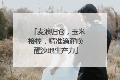 麦浪归仓，玉米接棒，精准滴灌唤醒沙地生产力