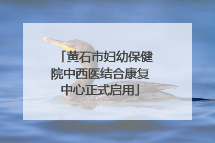 黄石市妇幼保健院中西医结合康复中心正式启用