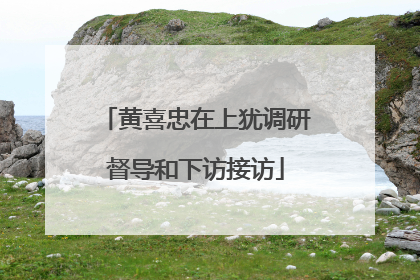 黄喜忠在上犹调研督导和下访接访