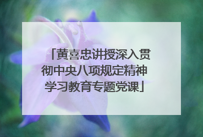 黄喜忠讲授深入贯彻中央八项规定精神学习教育专题党课
