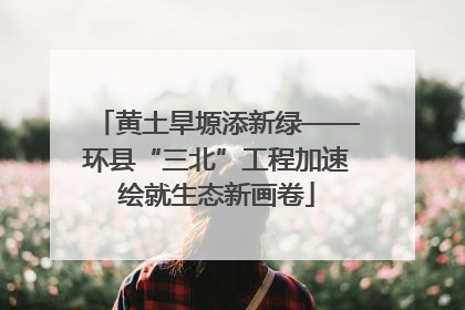 黄土旱塬添新绿——环县“三北”工程加速绘就生态新画卷