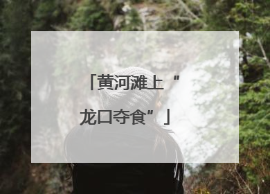 黄河滩上“龙口夺食”