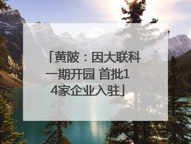 黄陂：因大联科一期开园 首批14家企业入驻