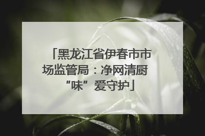 黑龙江省伊春市市场监管局：净网清厨 “味”爱守护